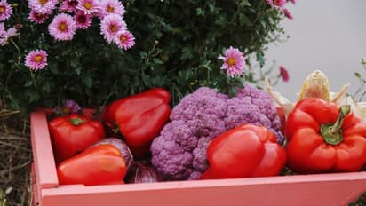 തണുപ്പുകാലത്ത് രോഗപ്രതിരോധശേഷി കൂട്ടാന്‍ കഴിക്കാം ഈ ഭക്ഷണങ്ങള്‍...