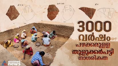 തുളുക്കാർപട്ടി നാഗരികതയ്ക്ക് പഴക്കം 3000 ബിസി വരെ;  മണ്‍പാത്രങ്ങളില്‍ 'പുലി', 'തീ' എന്നീ തമിഴ് വാക്കുകള്‍ !