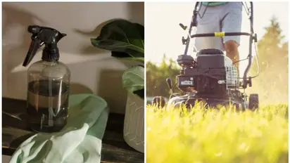 7 effective ways to keep your house pest-free during Monsoon