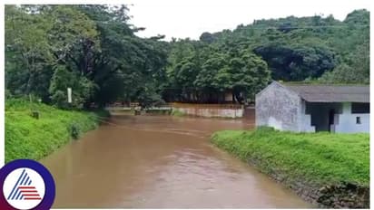 ವರುಣನ 5 ಜಿಲ್ಲೆಗಳು ತತ್ತರ: ಮುಂದಿನ 24 ಗಂಟೆಯಲ್ಲಿ ಭಾರೀ ಮಳೆ