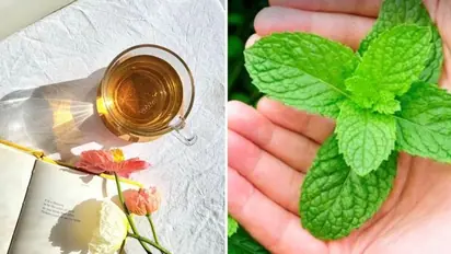 Digestive Aid to Stress Reduction: 7 benefits of drinking Peppermint Tea