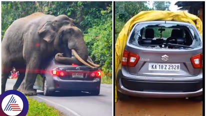 ಕಾಡಾನೆಯ ಭರ್ಜರಿ ಸೇಡು, ಮನೆಮುಂದೆ ನಿಲ್ಲಿಸಿದ ಕಾರು ಜಖಂಗೊಳಿಸಿ ಪರಾರಿ