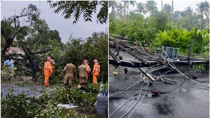 സമയം രാവിലെ 10.15, ഒരേ ഒരുമിനിറ്റ്; ചാലക്കുടിയെ അടിച്ചുതെറിപ്പിച്ച് മിന്നല്ച്ചുഴലി, 1 കോടിയിലേറെ രൂപയുടെ നാശം