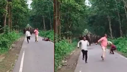ನಡುರಸ್ತೆಯಲ್ಲಿ ಸೆಲ್ಫಿ ತೆಗೆಯುತ್ತಿದ್ದವರನ್ನು ಓಡಿಸಿದ ಗಜಪಡೆ: ವೀಡಿಯೋ ವೈರಲ್
