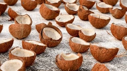 ചിരവയിൽ നിന്ന് ഷോക്കേറ്റു, 35കാരിക്ക് ദാരുണാന്ത്യം, കേസ് എടുത്ത് പൊലീസ്