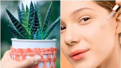 Unlocking the power of Aloe Vera: 7 versatile ways to use it for skin, hair, and health