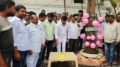 కేసీఆర్ నాటిన చెట్టుకు పుట్టినరోజు... వేడుకలా జరిపిన మంత్రి ప్రశాంత్ రెడ్డి (వీడియో)