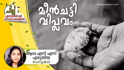 മീന്ചട്ടി വിപ്ലവം, ആശ എസ് എസ് എഴുതിയ ചെറുകഥ