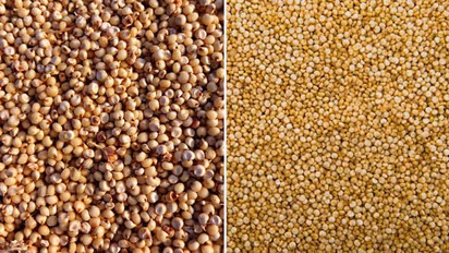 Gluten Free to Controlling Diabetes: 5 incredible benefits of eating Jowar