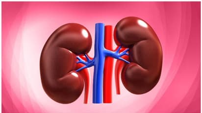 పిల్లల కిడ్నీలు ఆరోగ్యంగా ఉండాలంటే పేరెంట్స్ ఏం చేయాలంటే..  