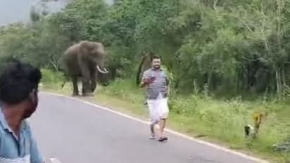 Chamarajanagar: ಕಾಡಾನೆ ಜೊತೆ ಸೆಲ್ಫಿ ಕ್ಲಿಕ್ಕಿಸಿಕೊಂಡ ಇಬ್ಬರು ಪ್ರವಾಸಿಗರಿಗೆ 20 ಸಾವಿರ ರೂ. ದಂಡ