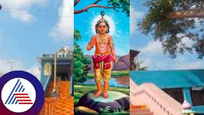 ಗುಡ್ಡೇಕಲ್ನಲ್ಲಿ ತಲೆಯೆತ್ತಲಿದೆ ಜಗತ್ತಿನಲ್ಲೇ ಎತ್ತರದ ಶ್ರೀಬಾಲಸುಬ್ರಹ್ಮಣ್ಯ ವಿಗ್ರಹ