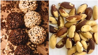 Unlocking the health benefits of Brazil Nuts: A nutritional powerhouse for your well-being