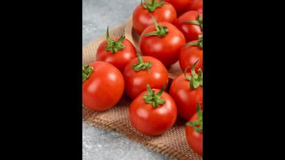 టమాటాలు తింటే కిడ్నీల్లో రాళ్లు ఏర్పడతయా? 