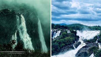 Jog falls to Shivanasamudra falls: 5 breath-taking waterfalls of Karnataka