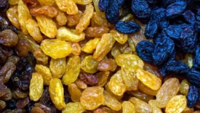 കറുത്ത ഉണക്കമുന്തിരിയോ അതോ ഗോള്‍ഡണ്‍ ഉണക്കമുന്തിരിയോ, ഏതാണ് കൂടുതല്‍ നല്ലത്? 