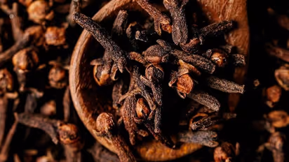 கிராம்பு தந்திரம்..! இப்படி செய்யுங்க சனிதேவர் மகிழ்ச்சி அடைவார்... தோஷங்கள் அனைத்தும் நீங்கும்..!!