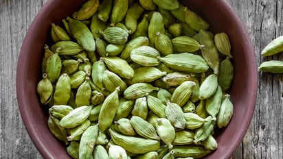 Digestive aid to blood sugar regulation: 7 benefits of Cardamom