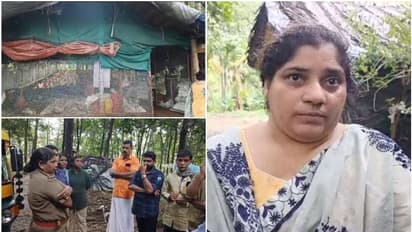 രാവിലെ ലൈറ്റ് അണച്ച് വീട്ടിൽ പോയി, തിരിച്ചെത്തിയപ്പോൾ കോഴിഫാമിൽ നടുക്കുന്ന കാഴ്ച, ലക്ഷം രൂപയുടെ നഷ്ടം