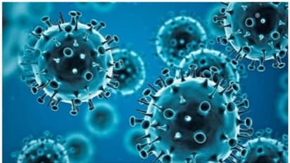 അതിവേഗം പടരുന്ന ഒമിക്രോൺ ജെ.എൻ 1, കേരളം ജാഗ്രതയിൽ; കൊവിഡ് പരിശോധന കൂട്ടിയേക്കും 