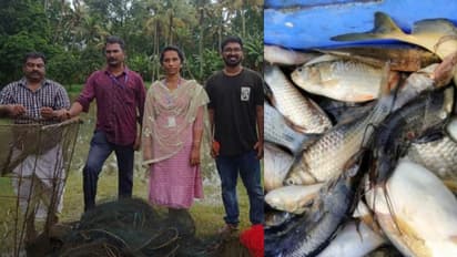 ഊത്ത പിടിത്തത്തിന് വിലക്കുമായി ഫിഷറീസ് വകുപ്പ്; കൂടുകളും വലകളും പിടികൂടി