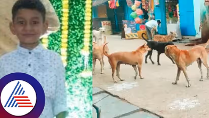 ಶಾಲೆಯಿಂದ ಮನೆಗೆ ಹೋಗ್ತಿದ್ದ ವೇಳೆ ಬೀದಿ ನಾಯಿ ದಾಳಿ; ಬಾಲಕನ ಸ್ಥಿತಿ ಗಂಭೀರ!