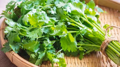 Blinkit offers 'FREE dhaniya' after user shares mother's suggestion; post goes viral