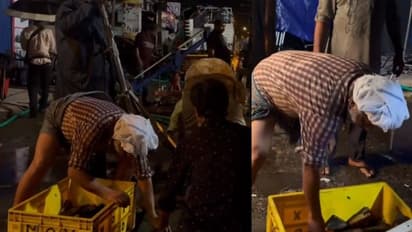 'പച്ചയായ മനുഷ്യൻ..'; മുണ്ട് മുറുക്കി, തലയിൽ കെട്ടുംകെട്ടി സെറ്റുകാരെ സഹായിച്ച് ജാഫർ ഇടുക്കി- വീഡിയോ