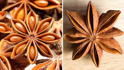 Promoting digestive health to regulating menstrual cycle: 7 benefits of Star anise