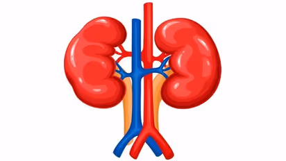 Bananas to Potatoes: 11 foods to avoid if you are diagnosed with Kidney ailments