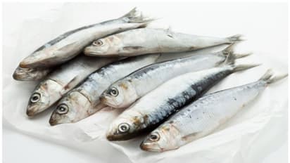 ആഴ്ചയിൽ രണ്ട് തവണയെങ്കിലും മീൻ കഴിക്കുക ; കാരണം