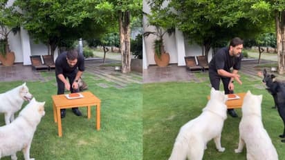 പിറന്നാളാഘോഷത്തിനും 'തല'യ്‍ക്കൊരു സ്റ്റൈലുണ്ട്; വേറിട്ട കേക്ക് മുറിക്കലുമായി ധോണി- വീഡിയോ