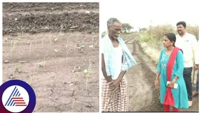 ಸಮಯಕ್ಕೆ ಸರಿಯಾಗಿ ಬಾರದ ಮಳೆ, ಈರುಳ್ಳಿ ಬಿತ್ತನೆ ಮಾಡದ ರೈತ, ಬೆಲೆ ಗಗನಕ್ಕೇರುವ ಸಾಧ್ಯತೆ!