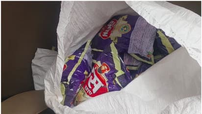 രണ്ടു ചാക്കുകളിലായി 67 ബണ്ടിലുകൾ; പലചരക്ക് കടയുടെ മറവിൽ ഹാൻസ് കച്ചവടം, അറസ്റ്റ്