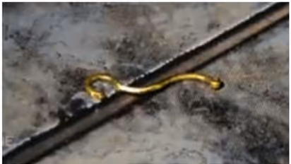 മകനെ അന്വേഷിച്ച് വീട്ടിലെത്തിയ അജ്ഞാതൻ, വീട്ടമ്മയുടെ കണ്ണിൽ മുളക് സ്പ്രേ അടിച്ച് 3 പവന്റെ സ്വർണമാല കവർന്നു