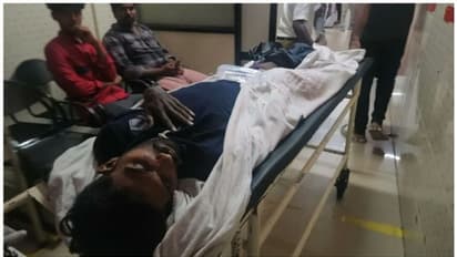 വിനോദസഞ്ചാരികളെ കാട്ടാന ആക്രമിച്ചു, ബൈക്ക് യാത്രികരിൽ ഒരാൾക്ക് കാലിൽ പരിക്കേറ്റു, ആശുപത്രിയിൽ