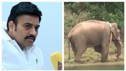 അരിക്കൊമ്പനുമേൽ കേരളത്തിനും തമിഴ്നാടിനും തുല്യ അവകാശം; അതിര്ത്തികൾ മനുഷ്യര്ക്ക് മാത്രം: തമിഴ്നാട് മന്ത്രി