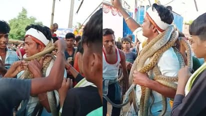 వామ్మో.. మెడలో పాములు వేసుకొని తిరిగిన వ్యక్తి.. అందరూ విషసర్పాలను వేస్తున్నా.. అభివాదం చేస్తూ.. వీడియో వైరల్