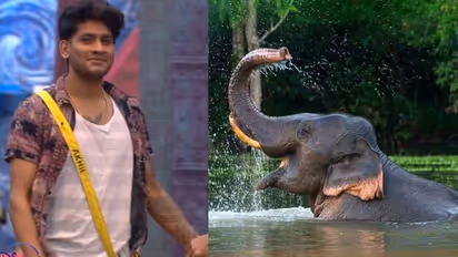 'ആനയുടെ നോട്ടം കണ്ടാൽ ഞാൻ പൈസ മേടിച്ചിട്ട് കൊടുക്കാത്ത പോലെയാണ്'; ഭയം പറഞ്ഞ് മാരാർ