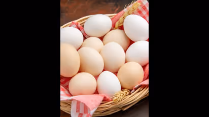 Health Tips : കുട്ടികൾക്ക് ദിവസവും ഒരു മുട്ട നൽകണമെന്ന് പറയുന്നതിന്റെ കാരണം ഇതൊക്കെയാണ്