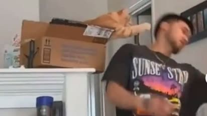 ಬೆಕ್ಕಿಗೇನು ಸಿಟ್ಟಿತ್ತೋ ಏನೋ: ಕದ್ದು ಕುಳಿತು ಮಾಲೀಕನ ಕೆನ್ನೆಗೆ ಬಾರಿಸಿದ ಮರ್ಜಾಲ: ವೈರಲ್ ವೀಡಿಯೋ