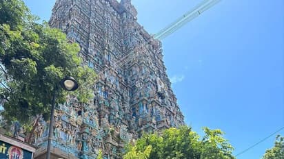 సంప్రదాయ దుస్తుల్లో మెరిసిన ‘ధమ్కీ’ బ్యూటీ.. బ్యూటీఫుల్ స్మైల్ తో కట్టిపడేస్తున్న నివేతా పేతురాజ్ 