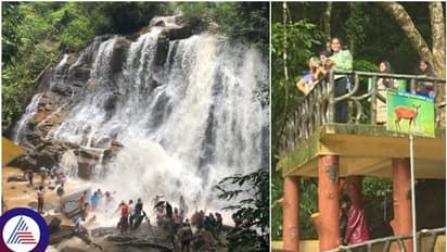 ಪ್ರವಾಸಿಗರ ಸ್ವರ್ಗವಾದ ಧುಮ್ಮಿಕ್ಕುವ ಸಿರಿಮನೆ ಫಾಲ್ಸ್‌: ಒನ್‌ಡೇ ಟ್ರಿಪ್‌ಗೆ ಬೆಸ್ಟ್‌ ಪ್ಲೇಸ್‌