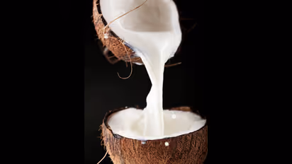 മുടി വളർച്ചയ്ക്ക് തേങ്ങാപ്പാൽ ; ഈ രീതിയിൽ ഉപയോഗിക്കൂ