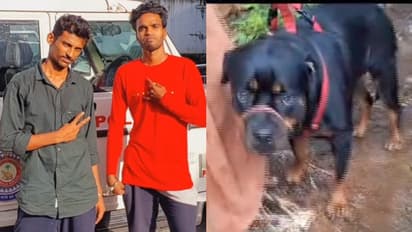 റോട്ട് വീലറെ കാണിച്ച് അന്യസംസ്ഥാന പൊലീസിനെ പറ്റിച്ചു, കേരള പൊലീസിന് മുന്നില് പണി പാളി; വന് ലഹരിമരുന്ന് വേട്ട