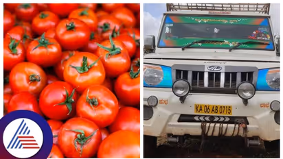 ಟೊಮೆಟೊ ಬೆಲೆ ಗಗನಕ್ಕೆ, ಕೋಲಾರದಿಂದ 2 ಲಕ್ಷ ರೂ ಮೌಲ್ಯದ ಟೊಮೆಟೊ ತುಂಬಿದ ಗಾಡಿ ಹೈಜಾಕ್!