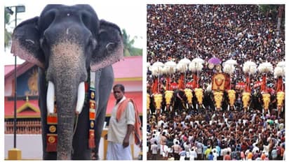 അരനൂറ്റാണ്ടിലേറെ തൃശൂർ പൂരപ്രേമികളുടെ മനം കവർന്ന ശങ്കരംകുളങ്ങര മണികണ്ഠൻ ചരിഞ്ഞു