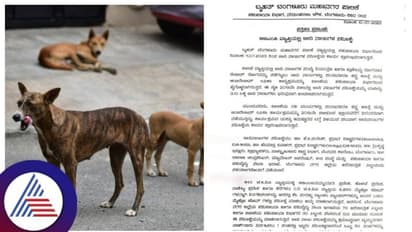 Bengaluru: ರೇಬೀಸ್ ರೋಗ ತಡೆಗಟ್ಟಲು ಬಿಬಿಎಂಪಿ ವ್ಯಾಪ್ತಿಯಲ್ಲಿ ಬೀದಿ ನಾಯಿಗಳ ಸಮೀಕ್ಷೆ 