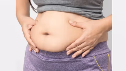 വയറിലെ കൊഴുപ്പിനെ പുറംതള്ളാന് ഉച്ചയ്ക്കും രാത്രിയും ചോറിന് പകരം കഴിക്കാം ഈ എട്ട് ഭക്ഷണങ്ങള്...