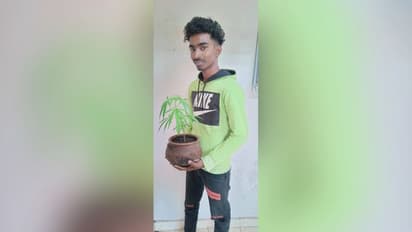 ക്ഷാമകാലത്ത് ഉപയോഗിക്കാൻ കൊല്ലത്ത് ടെറസിൽ 19-കാരന്റ 'കൃഷി', മൂക്കും മുമ്പ് എക്സൈസ് എത്തി!